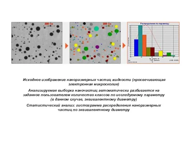 Исходное изображение наноразмерных частиц жидкости (просвечивающая электронная микроскопия) Анализируемая выборка наночастиц