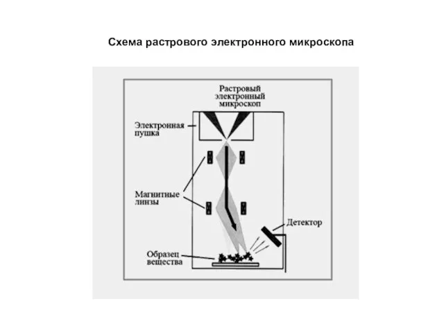 Схема растрового электронного микроскопа