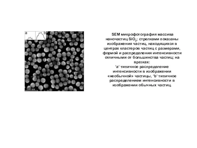 SEM микрофотография массива наночастиц SiO2; стрелками показаны изображения частиц, находящихся в