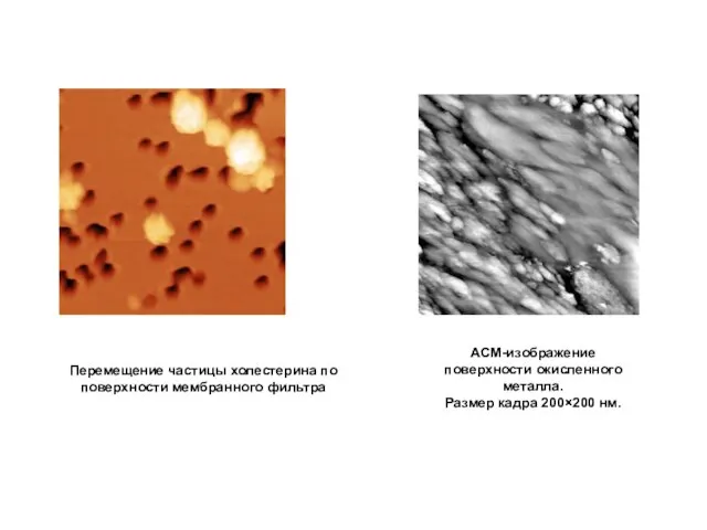 Перемещение частицы холестерина по поверхности мембранного фильтра АСМ-изображение поверхности окисленного металла. Размер кадра 200×200 нм.