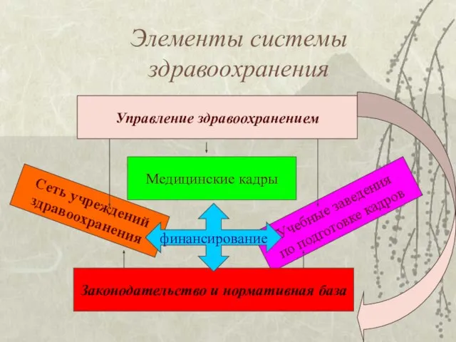 Элементы системы здравоохранения Управление здравоохранением Сеть учреждений здравоохранения Учебные заведения по