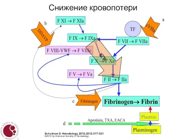 Снижение кровопотери Schulman S Hematology 2012;2012:517-521 ©2012 by American Society of Hematology КПК