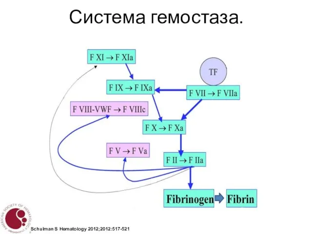 Система гемостаза. Schulman S Hematology 2012;2012:517-521