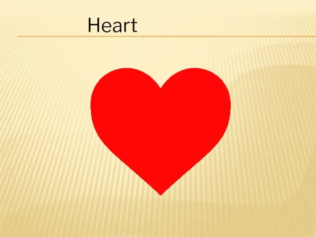 Heart