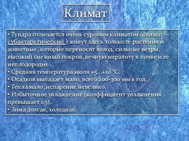 Климат • Тундра отличается очень суровым климатом (климат – субантарктический )