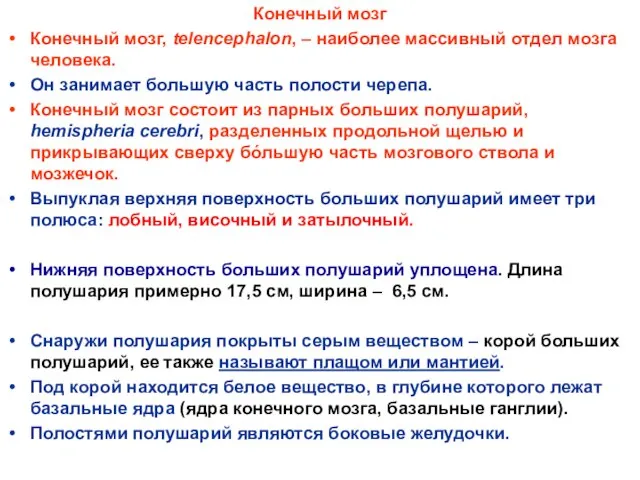 Конечный мозг Конечный мозг, telencephalon, – наиболее массивный отдел мозга человека.