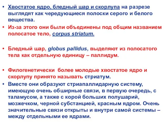 Хвостатое ядро, бледный шар и скорлупа на разрезе выглядят как чередующиеся