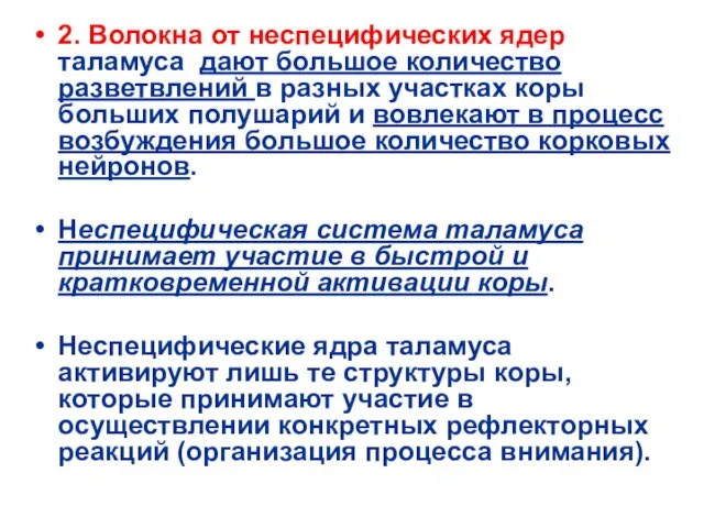 2. Волокна от неспецифических ядер таламуса дают большое количество разветвлений в