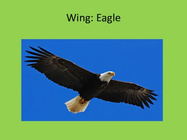 Wing: Eagle