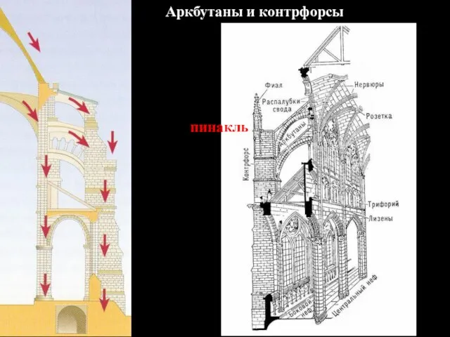 Аркбутаны и контрфорсы пинакль