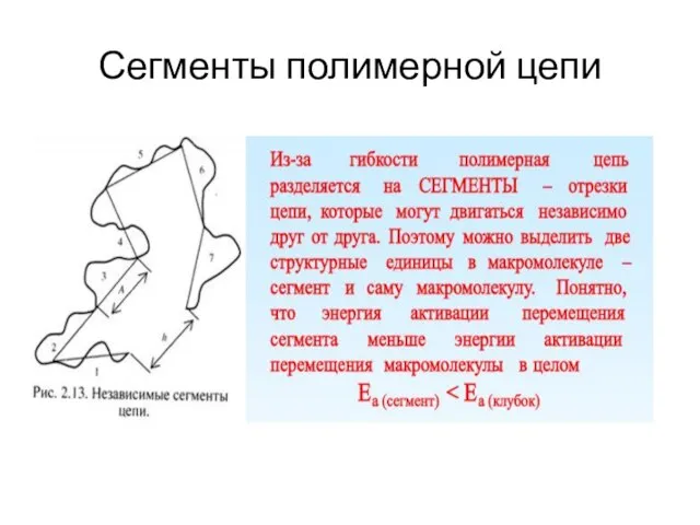 Сегменты полимерной цепи