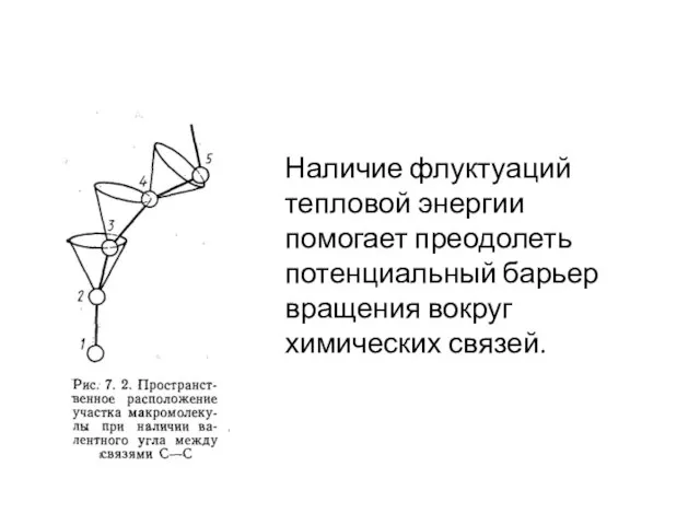 Наличие флуктуаций тепловой энергии помогает преодолеть потенциальный барьер вращения вокруг химических связей.