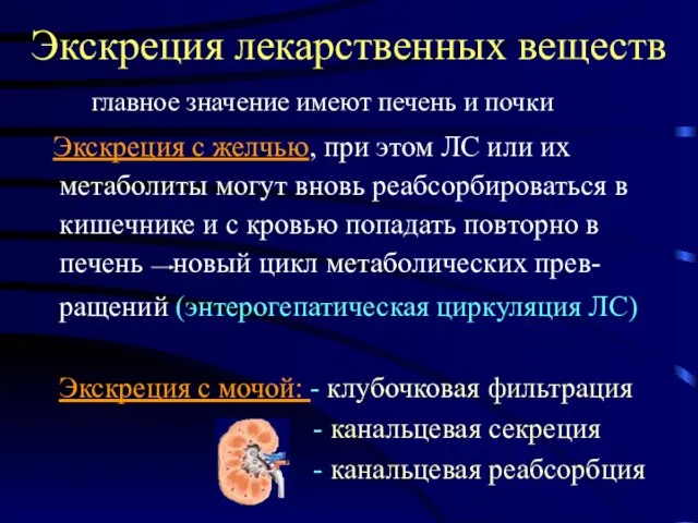 Экскреция лекарственных веществ главное значение имеют печень и почки Экскреция с