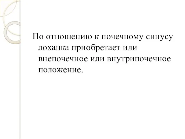 По отношению к почечному синусу лоханка приобретает или внепочечное или внутрипочечное положение.