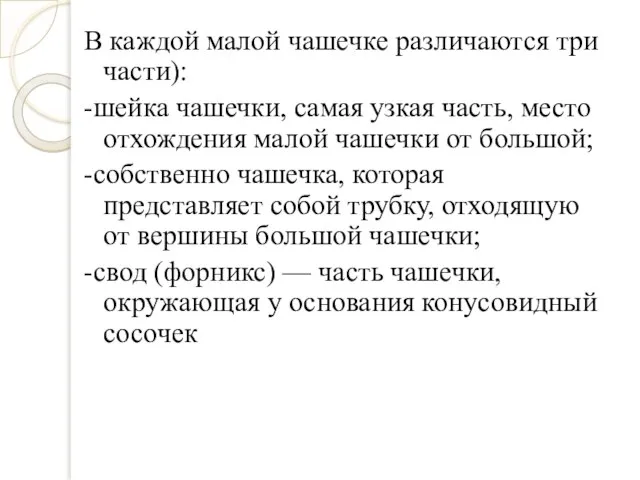 В каждой малой чашечке различаются три части): -шейка чашечки, самая узкая