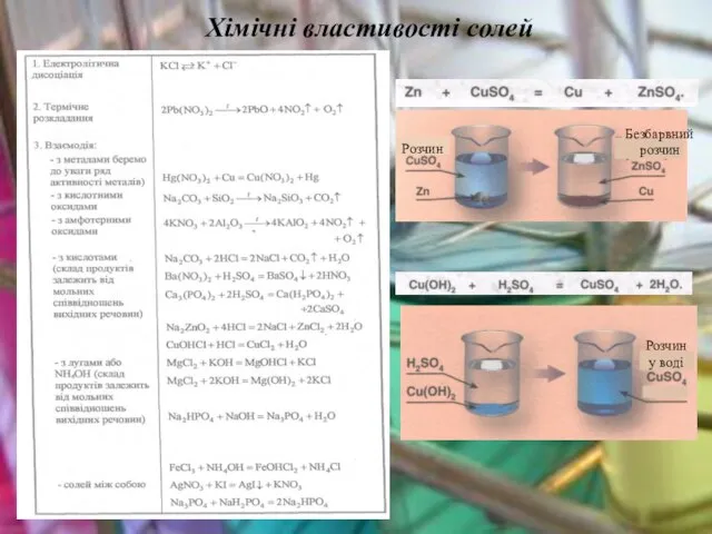 Хімічні властивості солей Розчин Безбарвний розчин Розчин у воді