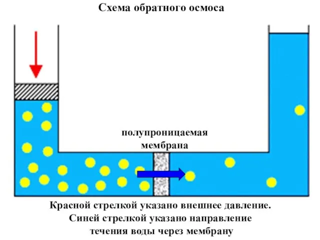 полупроницаемая мембрана Схема обратного осмоса Красной стрелкой указано внешнее давление. Синей