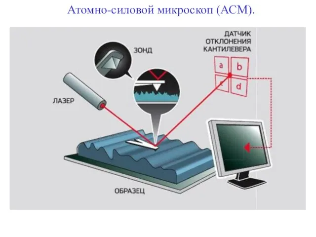 Атомно-силовой микроскоп (АСМ).