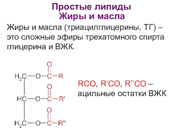 Простые липиды Жиры и масла Жиры и масла (триацилглицерины, ТГ) –