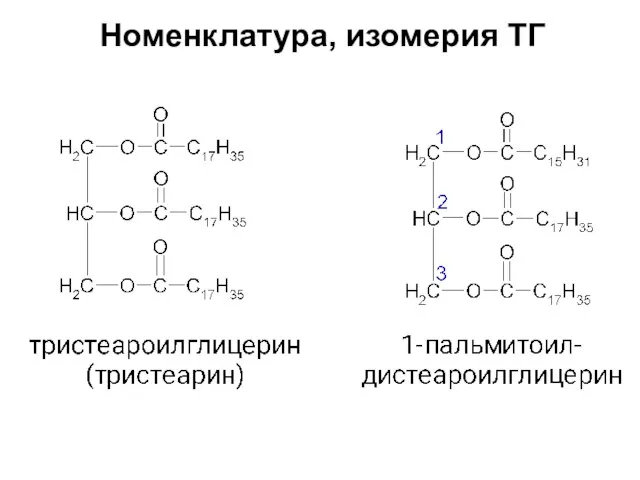 Номенклатура, изомерия ТГ