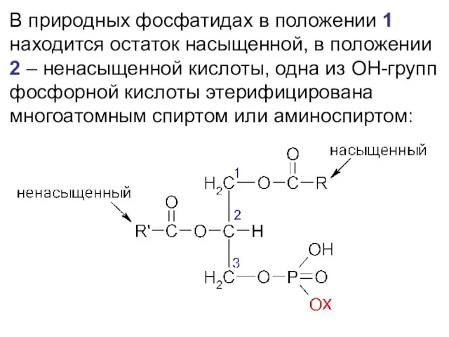 В природных фосфатидах в положении 1 находится остаток насыщенной, в положении