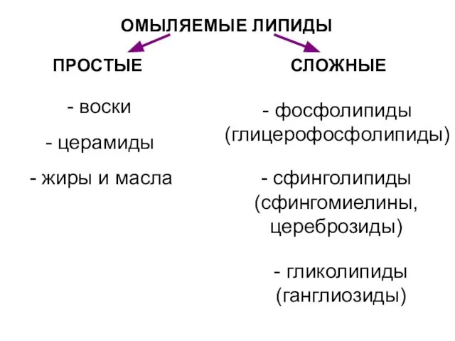 ОМЫЛЯЕМЫЕ ЛИПИДЫ ПРОСТЫЕ СЛОЖНЫЕ - воски - жиры и масла -