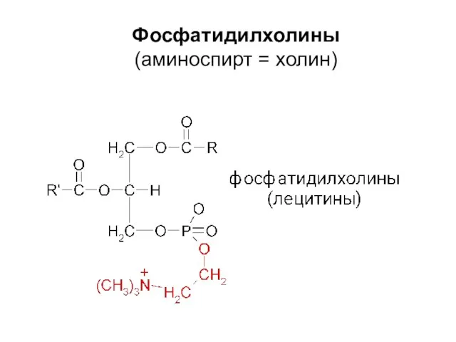 Фосфатидилхолины (аминоспирт = холин)