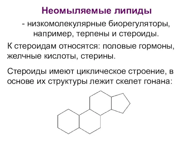 Неомыляемые липиды - низкомолекулярные биорегуляторы, например, терпены и стероиды. Стероиды имеют