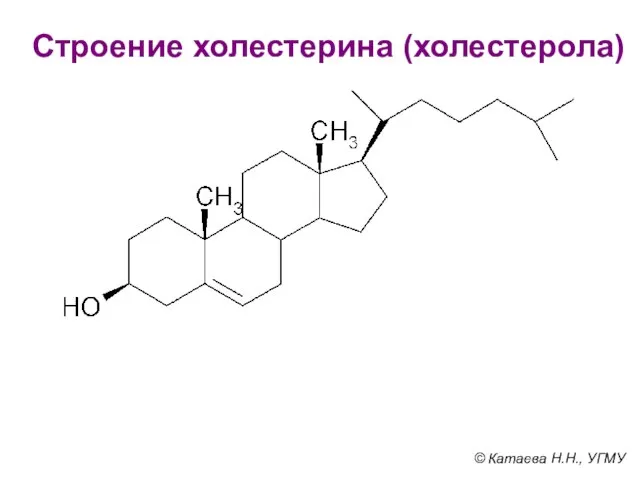 Строение холестерина (холестерола) © Катаева Н.Н., УГМУ