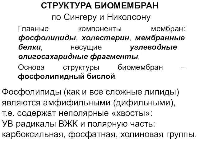 СТРУКТУРА БИОМЕМБРАН по Сингеру и Николсону Главные компоненты мембран: фосфолипиды, холестерин,