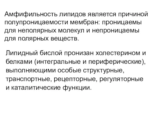 Липидный бислой пронизан холестерином и белками (интегральные и периферические), выполняющими особые