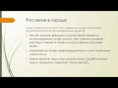 Растения в городе плохо питаются из-за того, что в городских почвах