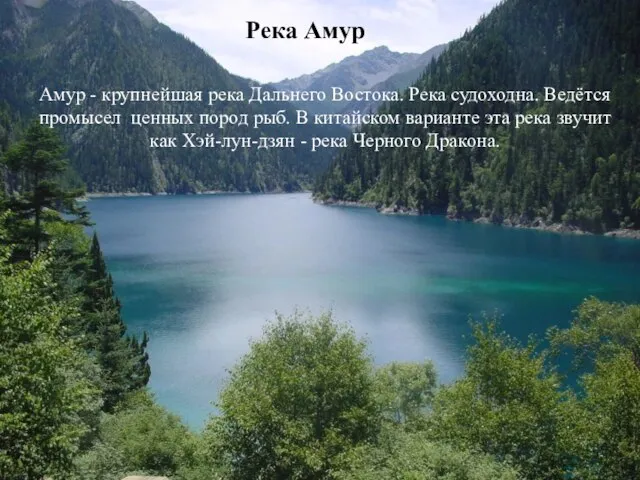 Река Амур Амур - крупнейшая река Дальнего Востока. Река судоходна. Ведётся