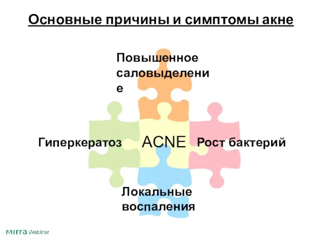 Основные причины и симптомы акне Повышенное саловыделение Рост бактерий Локальные воспаления Гиперкератоз ACNE