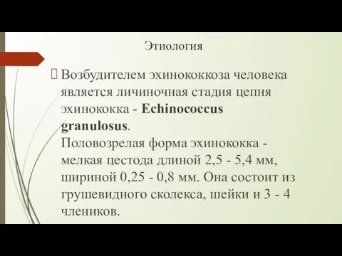 Этиология Возбудителем эхинококкоза человека является личиночная стадия цепня эхинококка - Echinococcus