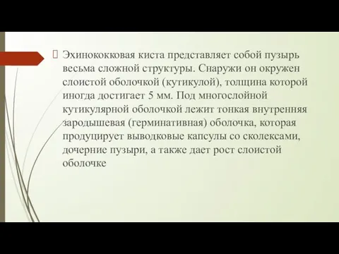 Эхинококковая киста представляет собой пузырь весьма сложной структуры. Снаружи он окружен