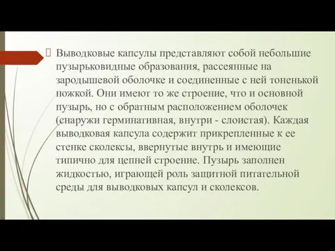 Выводковые капсулы представляют собой небольшие пузырьковидные образования, рассеянные на зародышевой оболочке