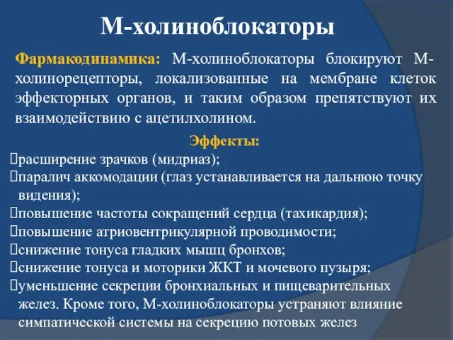 М-холиноблокаторы Фармакодинамика: М-холиноблокаторы блокируют М-холинорецепторы, локализованные на мембране клеток эффекторных органов,