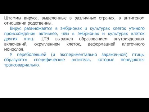 Штаммы вируса, выделенные в различных странах, в антигеном отношении родственны. Вирус