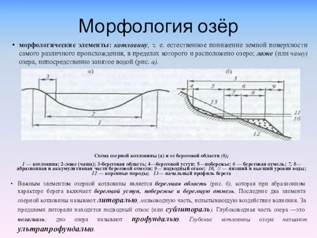 Морфология озёр мор­фологические элементы: котловину, т. е. естественное понижение земной поверхности