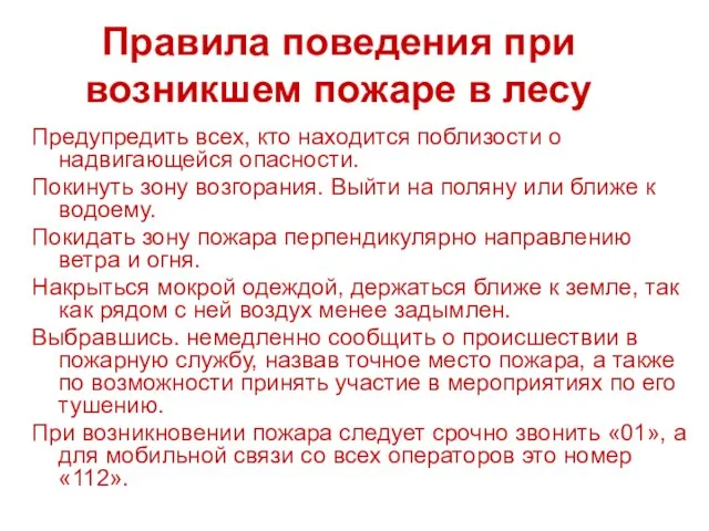 Правила поведения при возникшем пожаре в лесу Предупредить всех, кто находится