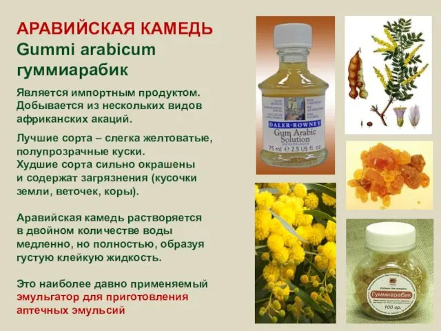 АРАВИЙСКАЯ КАМЕДЬ Gummi arabicum гуммиарабик Является импортным продуктом. Добывается из нескольких