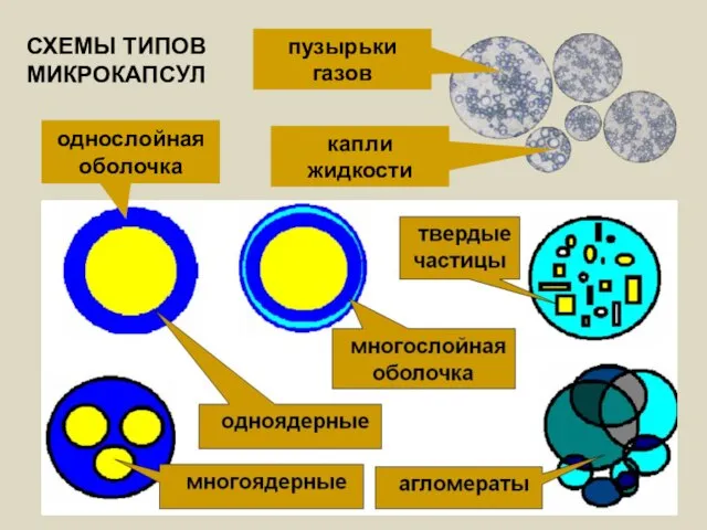 однослойная оболочка капли жидкости пузырьки газов СХЕМЫ ТИПОВ МИКРОКАПСУЛ