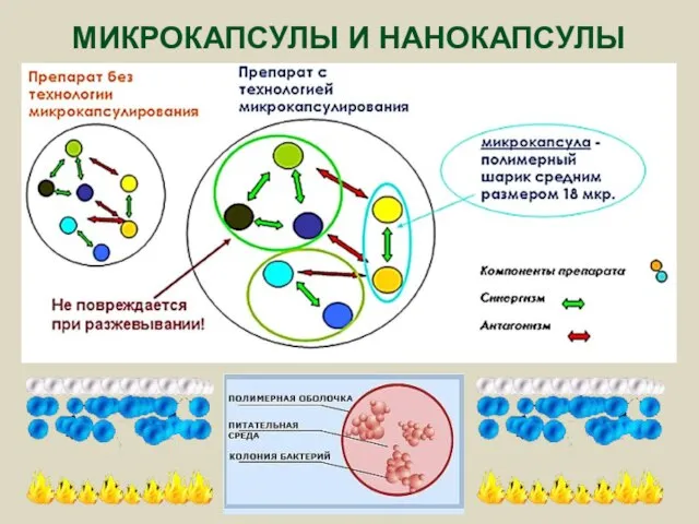 МИКРОКАПСУЛЫ И НАНОКАПСУЛЫ