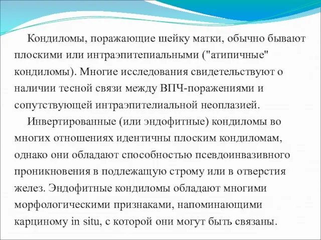 Кондиломы, поражающие шейку матки, обычно бывают плоскими или интраэпитепиальными ("атипичные" кондиломы).