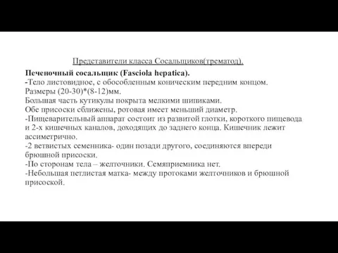 Представители класса Сосальщиков(трематод). Печеночный сосальщик (Fasciola hepatica). -Тело листовидное, с обособленным