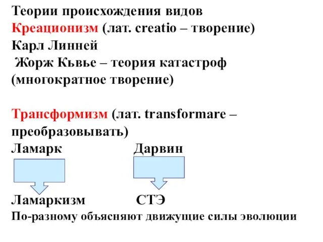 Теории происхождения видов Креационизм (лат. creatio – творение) Карл Линней Жорж