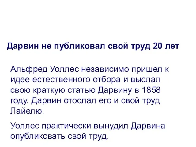 Дарвин не публиковал свой труд 20 лет Альфред Уоллес независимо пришел