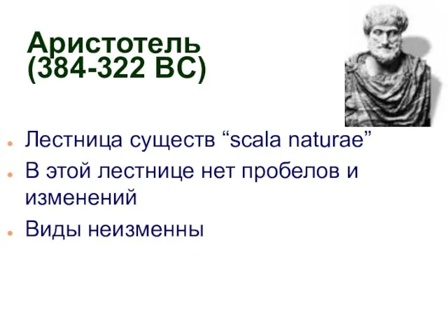 Аристотель (384-322 BC) Лестница существ “scala naturae” В этой лестнице нет пробелов и изменений Виды неизменны