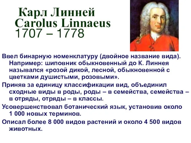 Карл Линней Carolus Linnaeus 1707 – 1778 Ввел бинарную номенклатуру (двойное